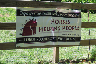 Rocking Chair Farm Banner